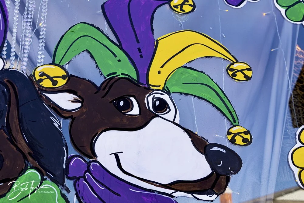 20250220-Mardi Gras Artwork -63.jpeg