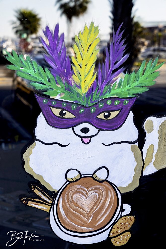 20250220-Mardi Gras Artwork -36.jpeg