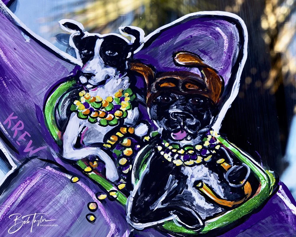 20250220-Mardi Gras Artwork -46.jpeg