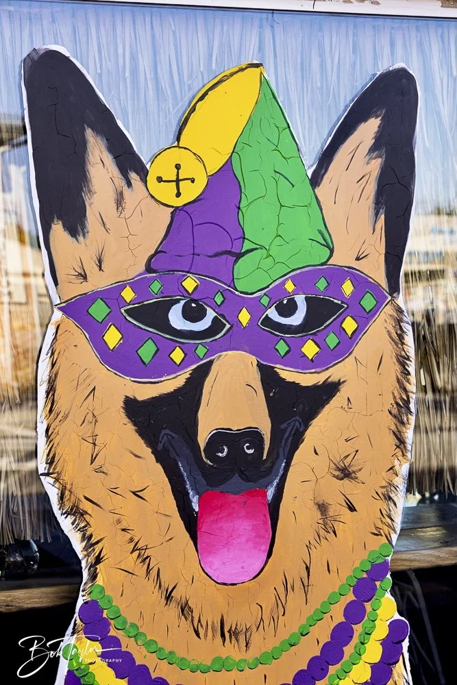 20250220-Mardi Gras Artwork -67.jpeg