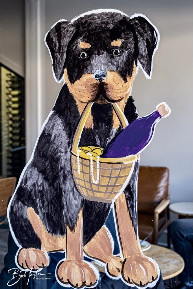 20250212-Mardi Gras Artwork -13.jpeg