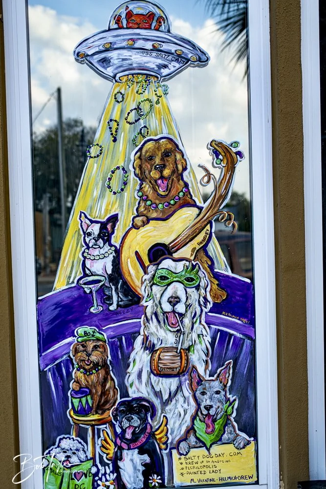 20250212-Mardi Gras Artwork -2.jpeg