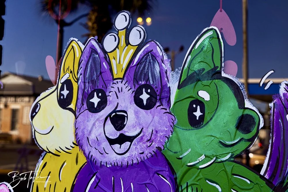 20250220-Mardi Gras Artwork -73.jpeg