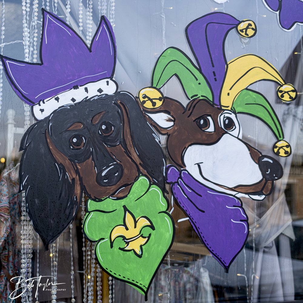 20250212-Mardi Gras Artwork -22.jpeg