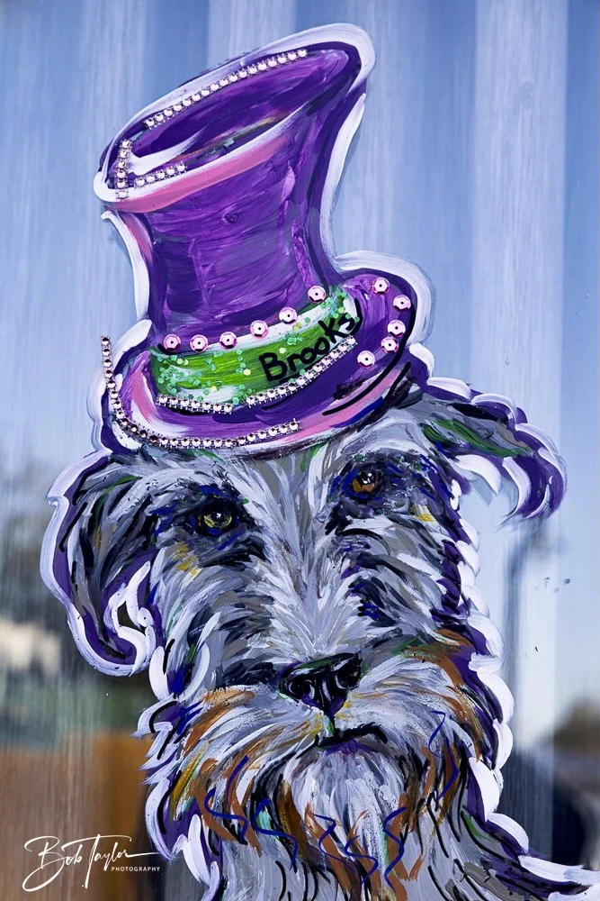 20250220-Mardi Gras Artwork -47.jpeg