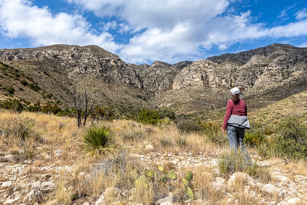 20241117-20241117-Guadalupe -53-2.jpg