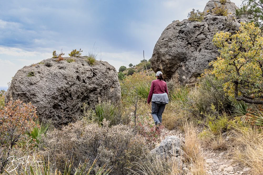 20241117-20241117-Guadalupe -69-2.jpg