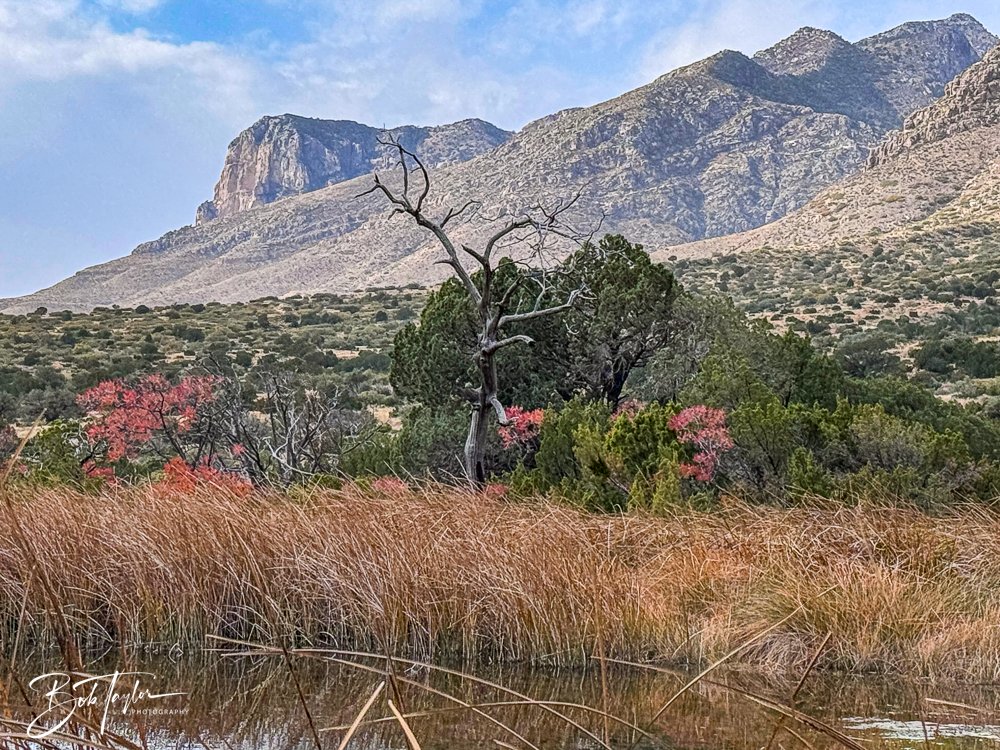 20241117-20241117-Guadalupe -31-2.jpg