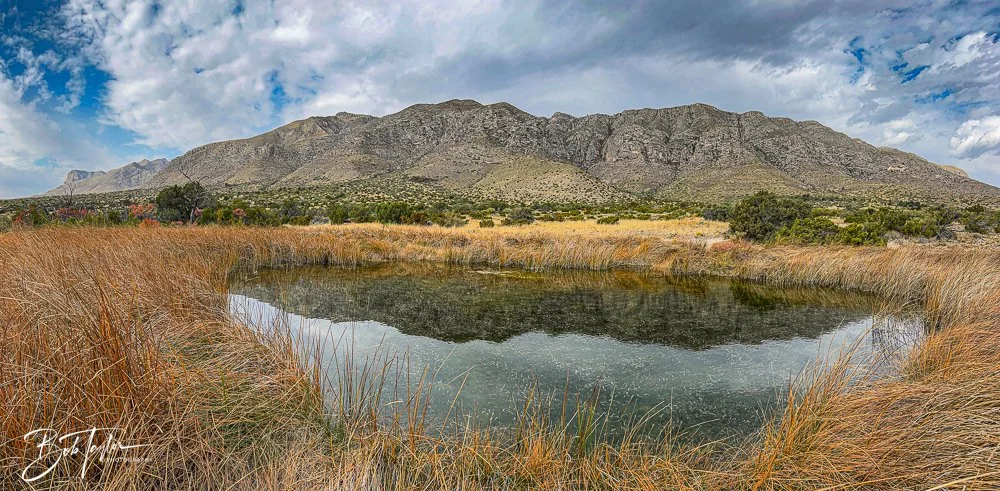 20241117-20241117-Guadalupe -28-2.jpg