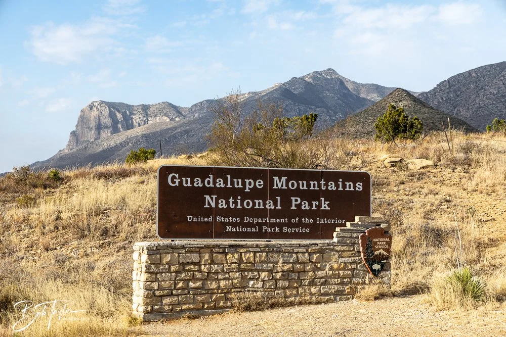 20241117-20241117-Guadalupe -3-2.jpg