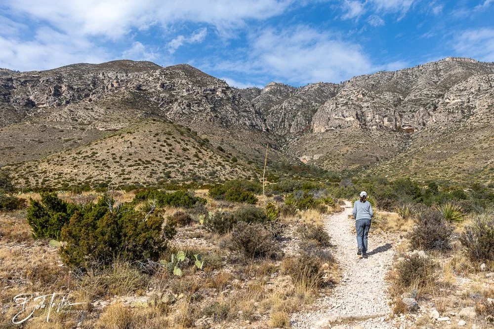 20241117-20241117-Guadalupe -50-2.jpg