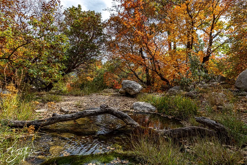 20241117-20241117-Guadalupe -63-2.jpg