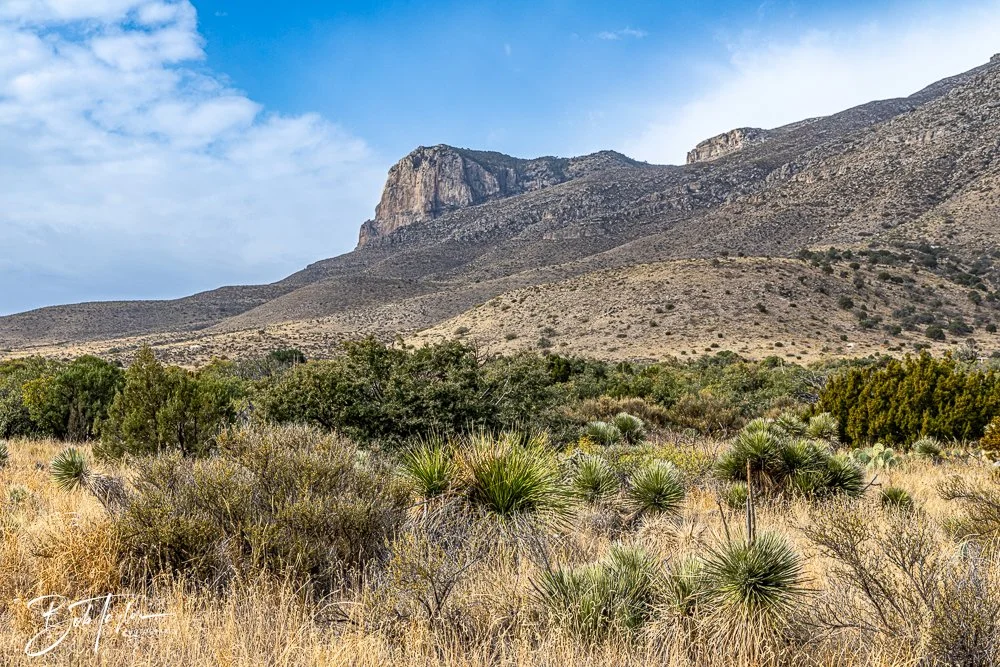 20241117-20241117-Guadalupe -30-2.jpg