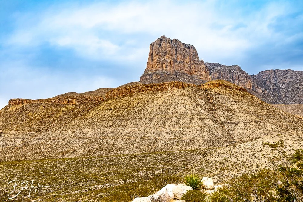 20241117-20241117-Guadalupe -71-2.jpg