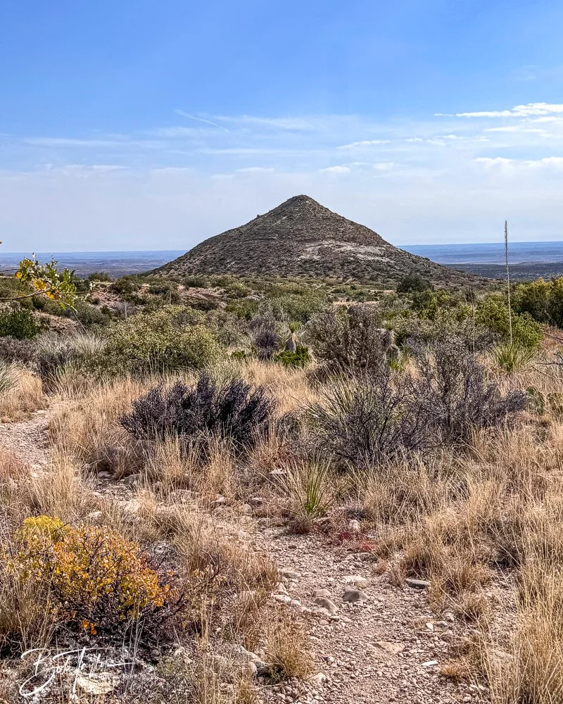 20241117-20241117-Guadalupe -36-2.jpg