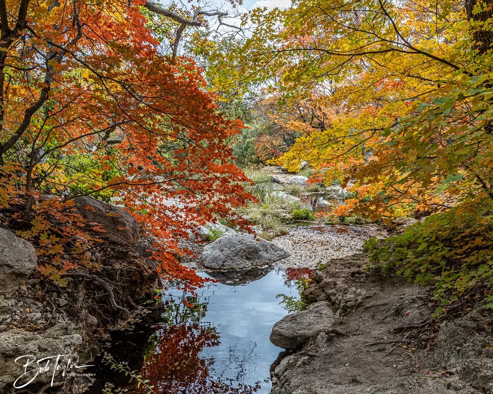 20241117-20241117-Guadalupe -61-2.jpg