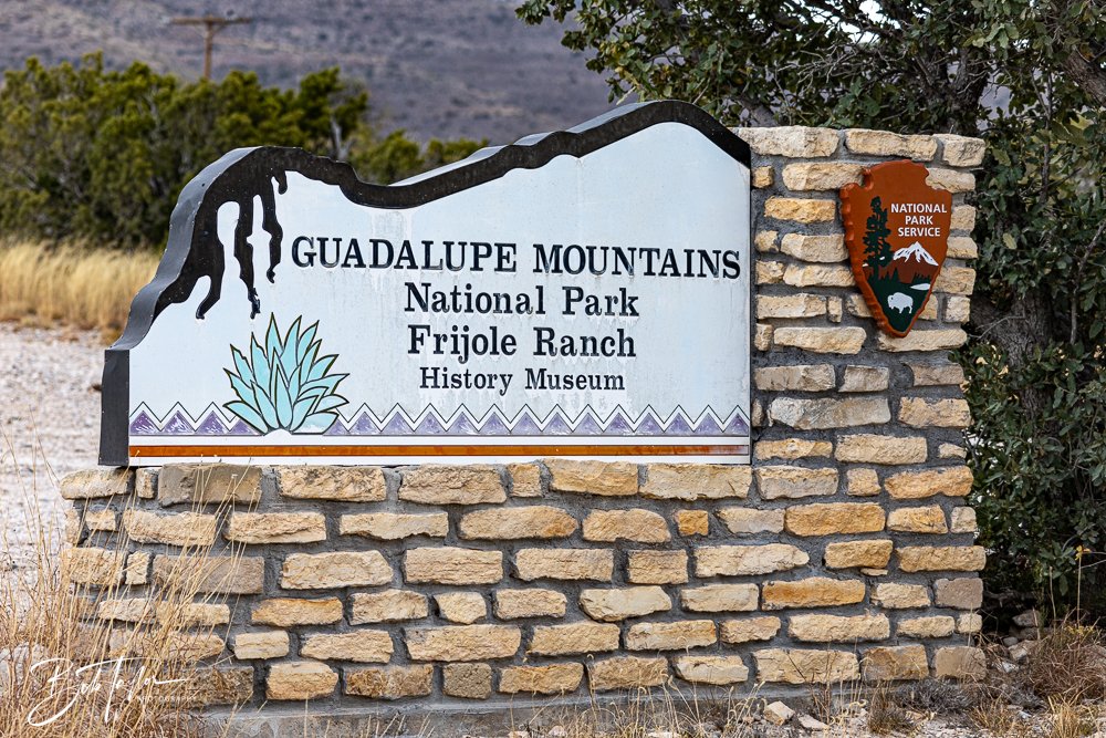 20241117-20241117-Guadalupe -70-2.jpg