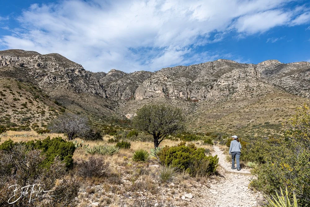 20241117-20241117-Guadalupe -52-2.jpg