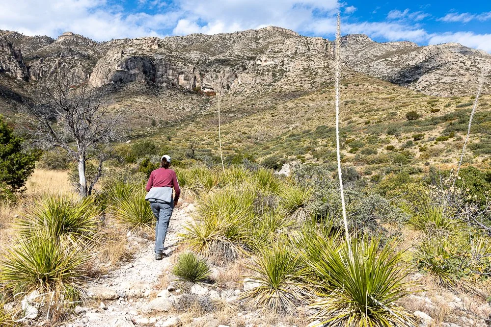 20241117-20241117-Guadalupe -54-2.jpg