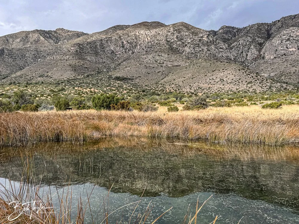 20241117-20241117-Guadalupe -23-2.jpg