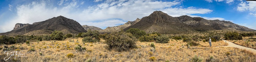 20241117-20241117-Guadalupe -4-2.jpg