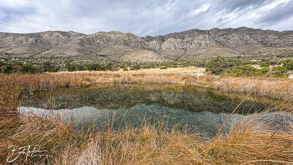 20241117-20241117-Guadalupe -24-2.jpg