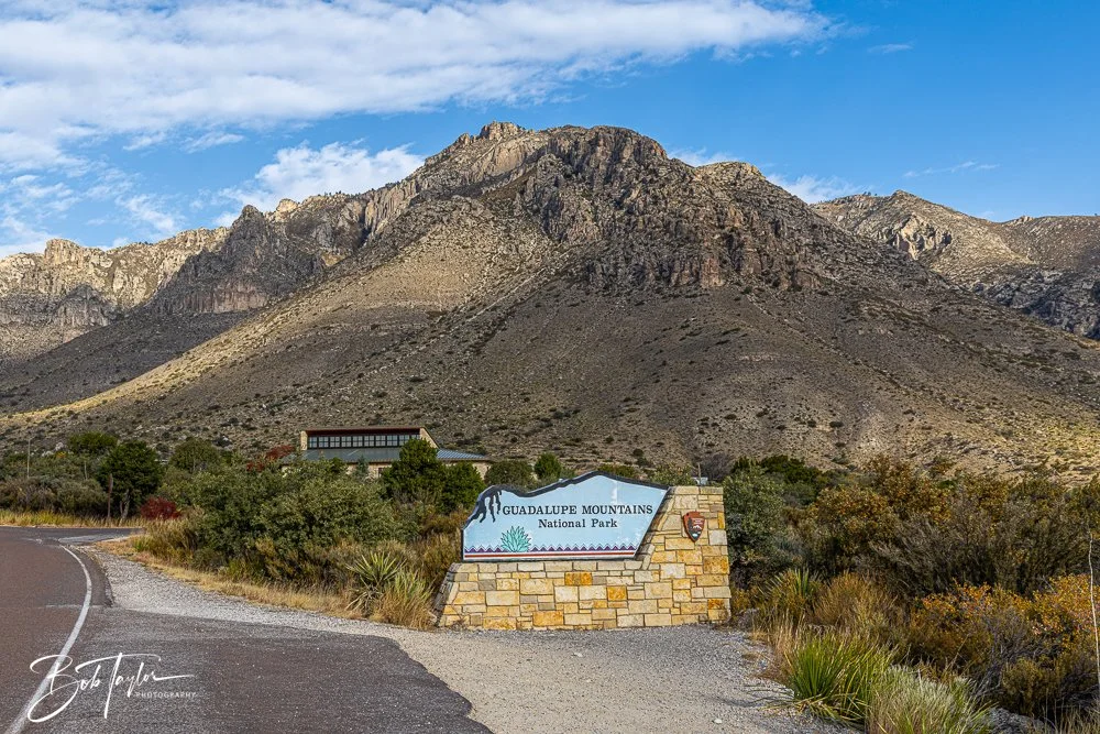 20241117-20241117-Guadalupe -8-2.jpg