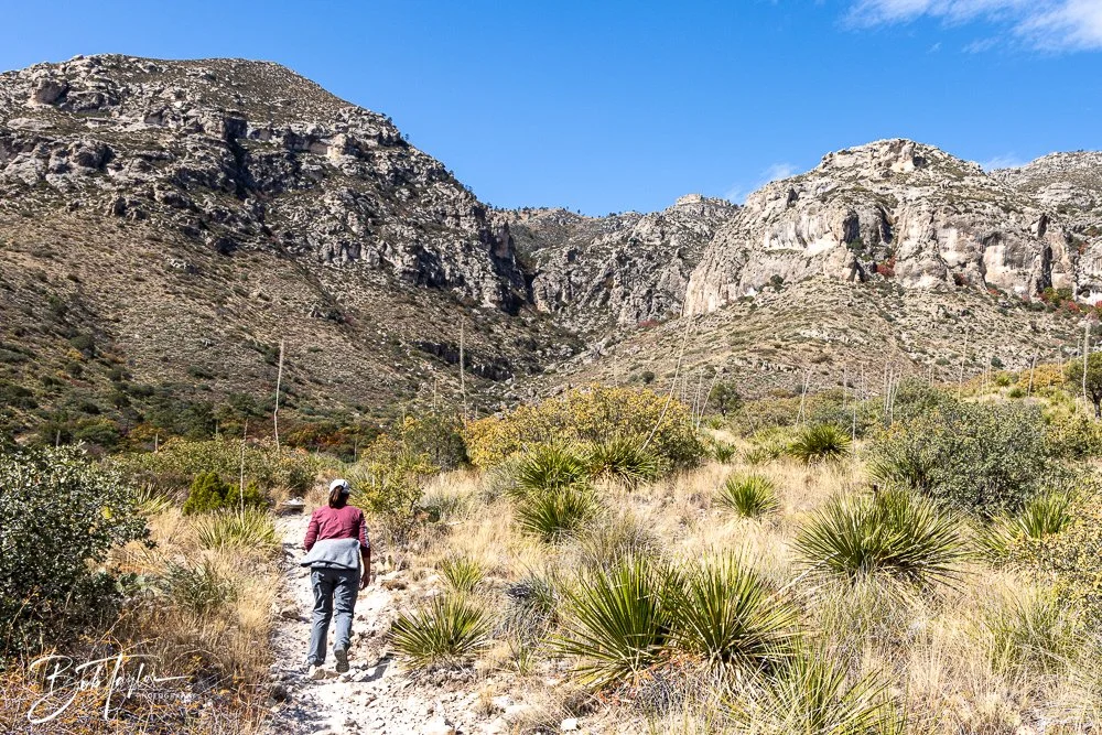 20241117-20241117-Guadalupe -55-2.jpg