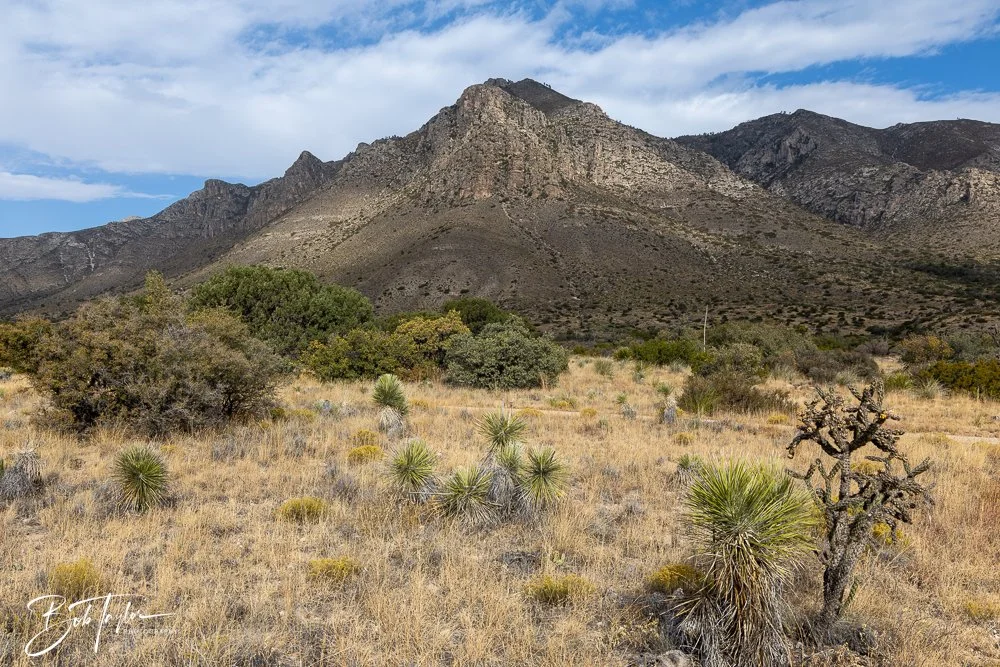 20241117-20241117-Guadalupe -22-2.jpg