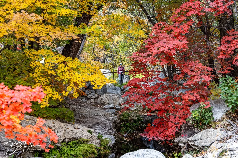 20241117-20241117-Guadalupe -66-2.jpg