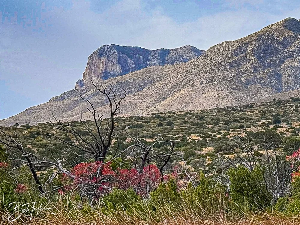 20241117-20241117-Guadalupe -25-2.jpg