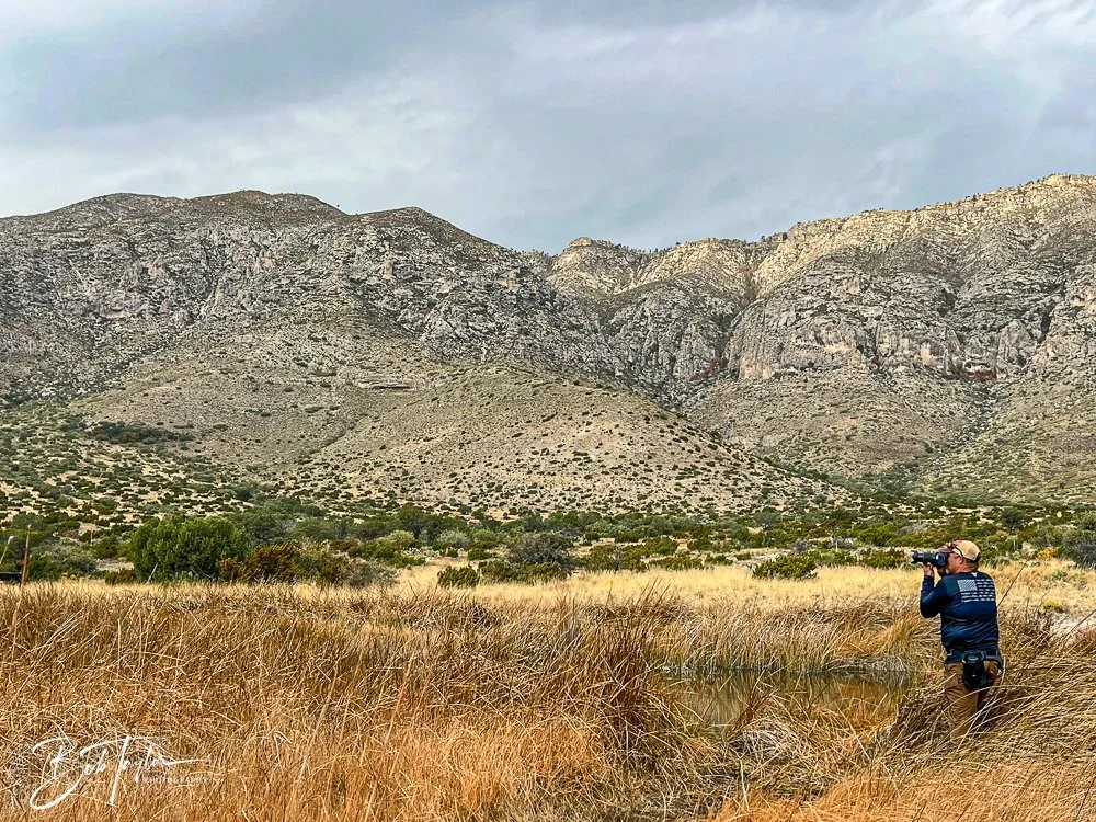 20241117-20241117-Guadalupe -7-2.jpg