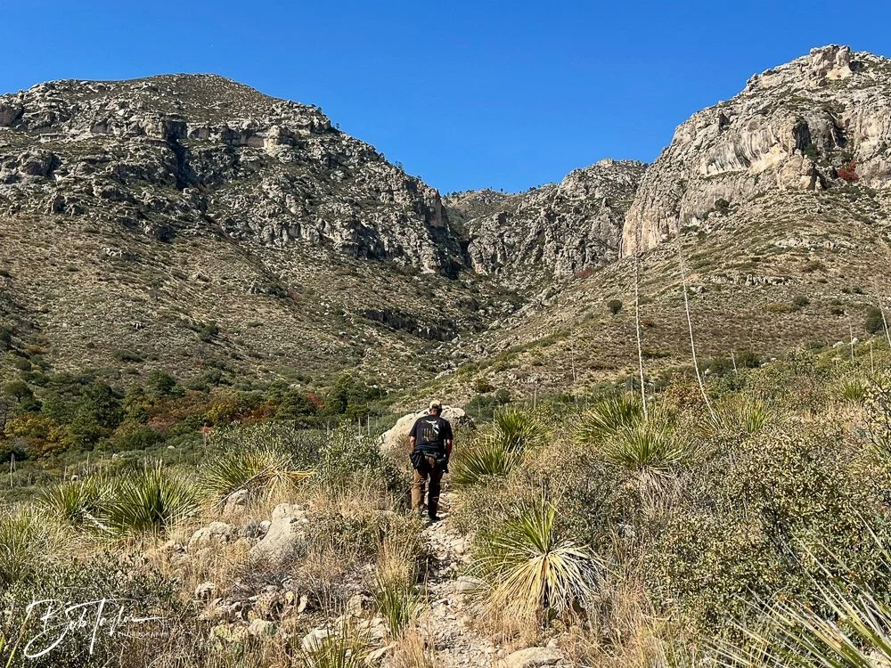 20241117-20241117-Guadalupe -15-2.jpg