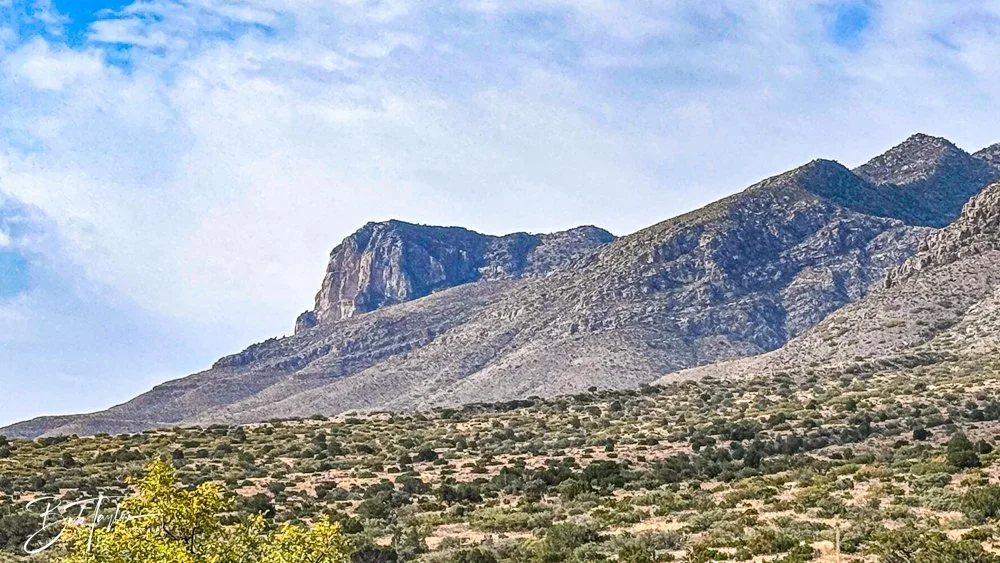 20241117-20241117-Guadalupe -34-2.jpg