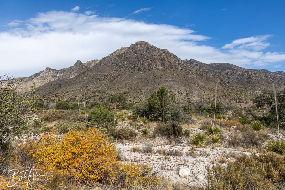 20241117-20241117-Guadalupe -33-2.jpg