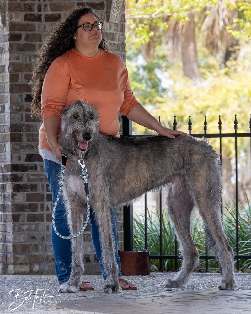 20250329-Salty Dog Day -34.jpg