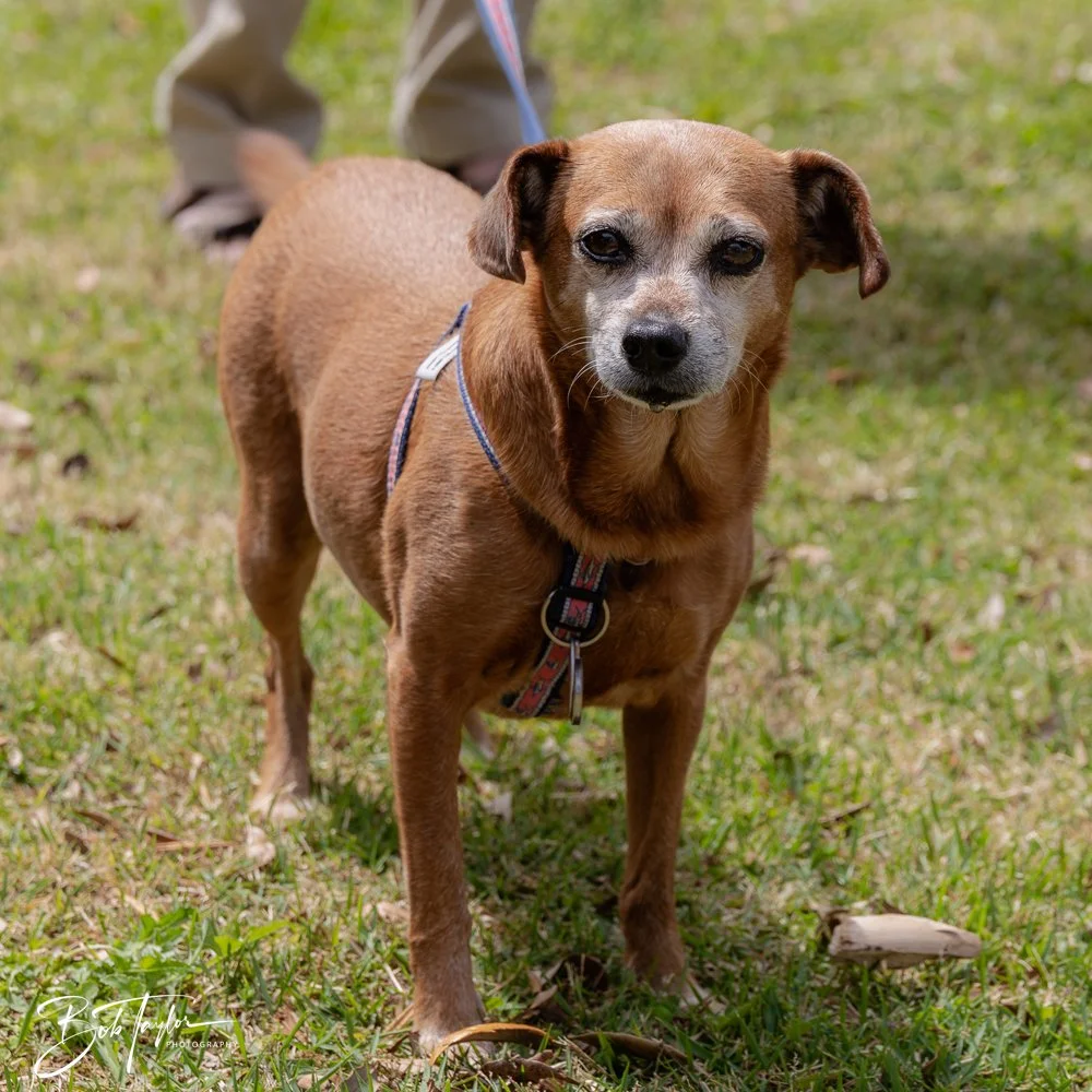 20250329-Salty Dog Day -5.jpg