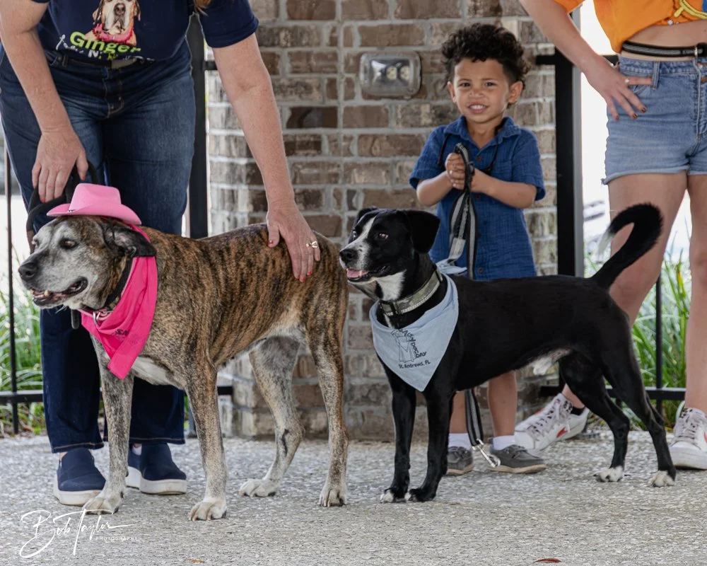 20250329-Salty Dog Day -12.jpg