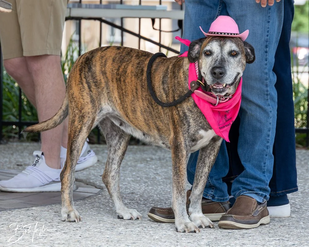 20250329-Salty Dog Day -21.jpg