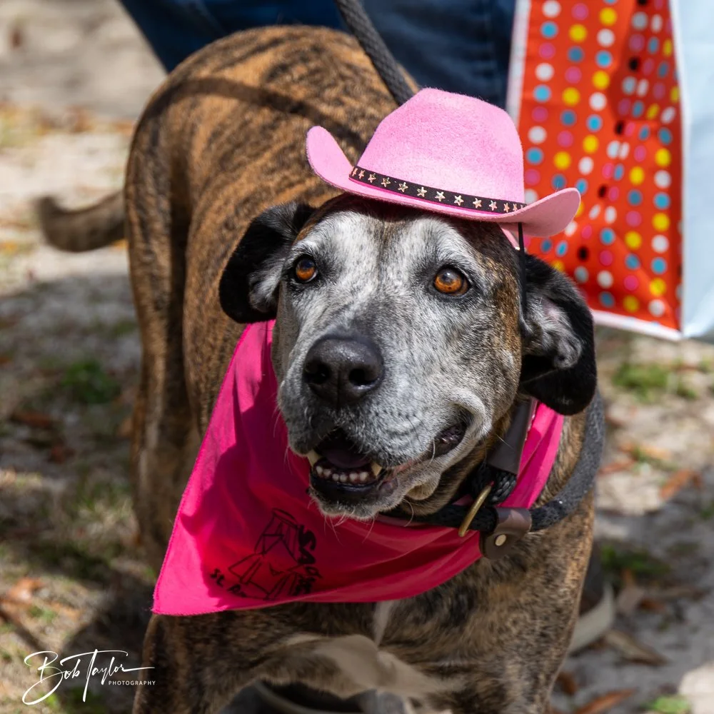 20250329-Salty Dog Day -48.jpg