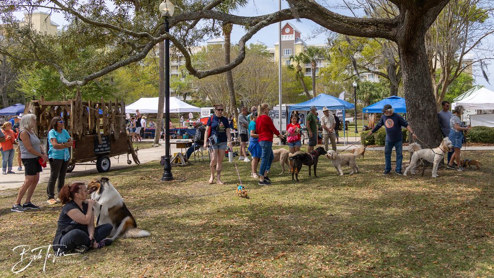 20250329-Salty Dog Day -16.jpg