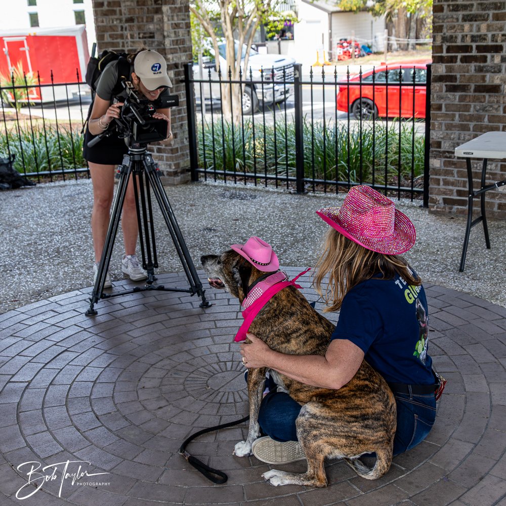 20250329-Salty Dog Day -49.jpg