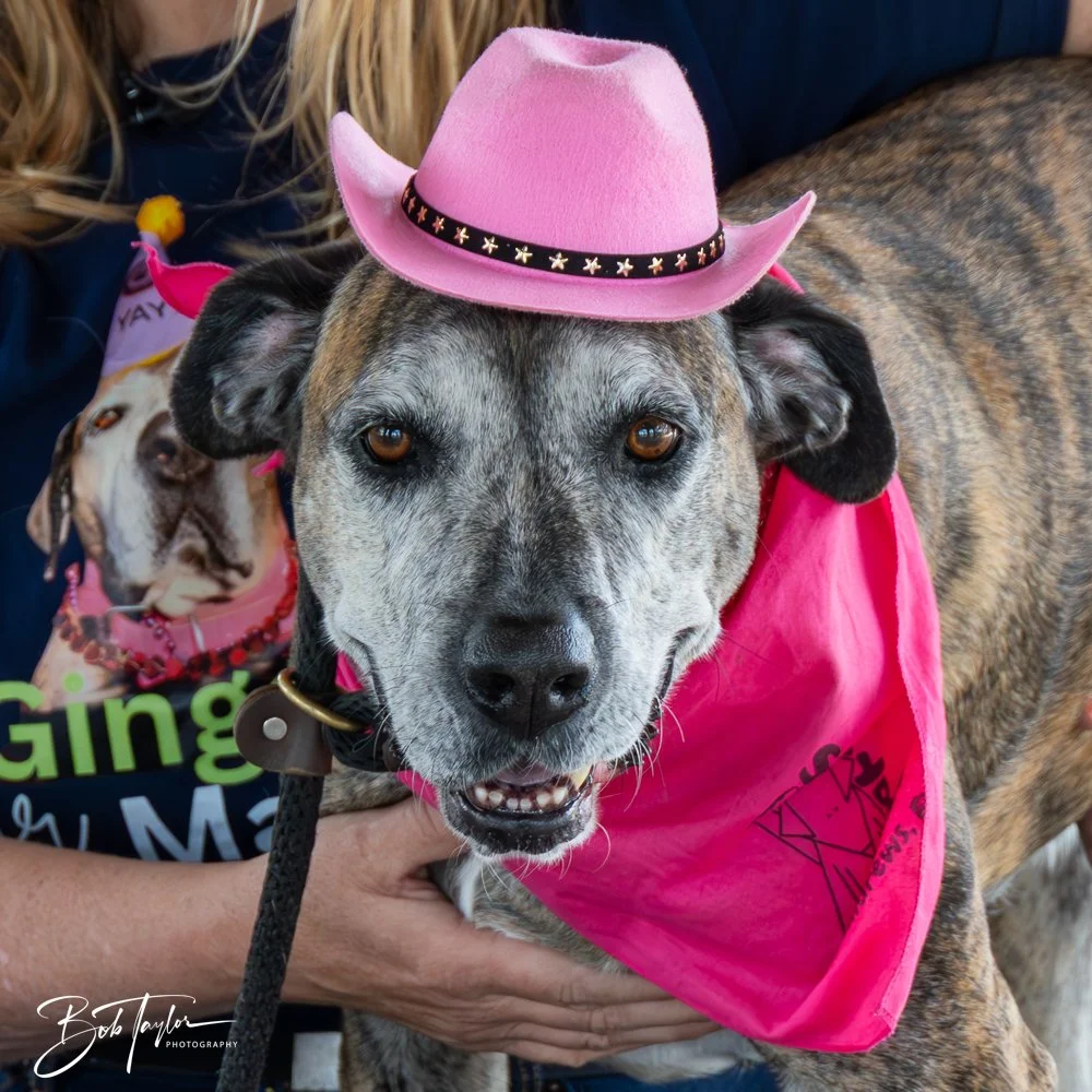 20250329-Salty Dog Day -53.jpg