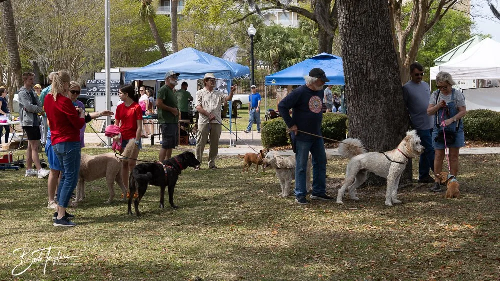 20250329-Salty Dog Day -15.jpg