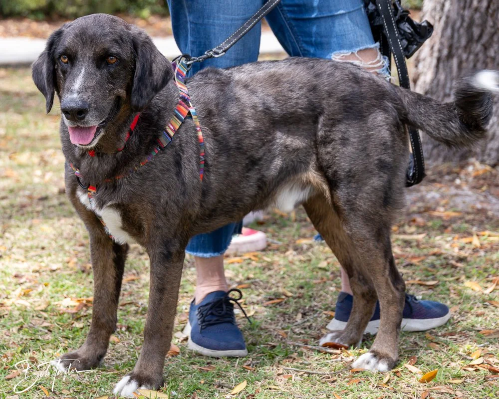 20250329-Salty Dog Day -28.jpg