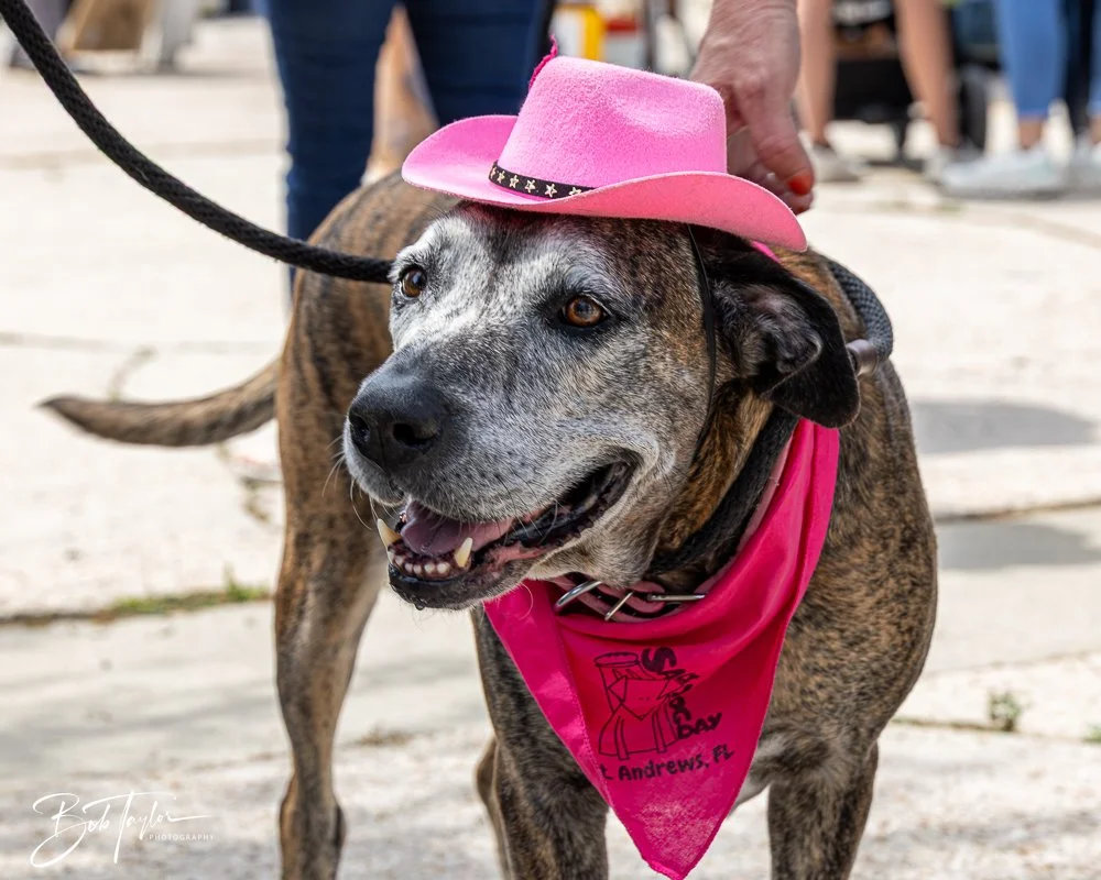 20250329-Salty Dog Day -7.jpg