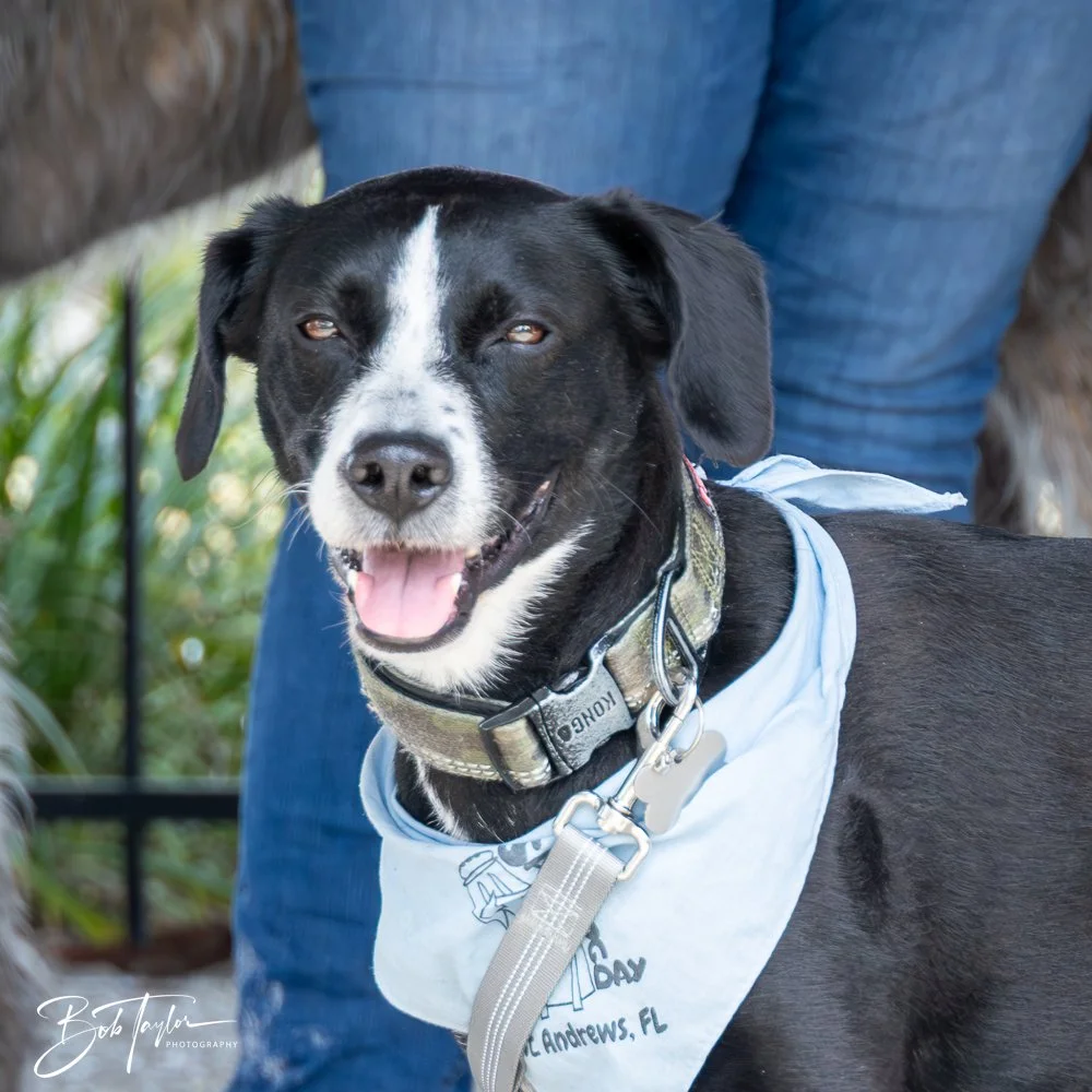 20250329-Salty Dog Day -22.jpg