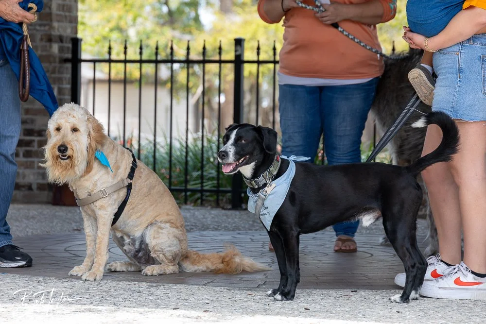 20250329-Salty Dog Day -20.jpg