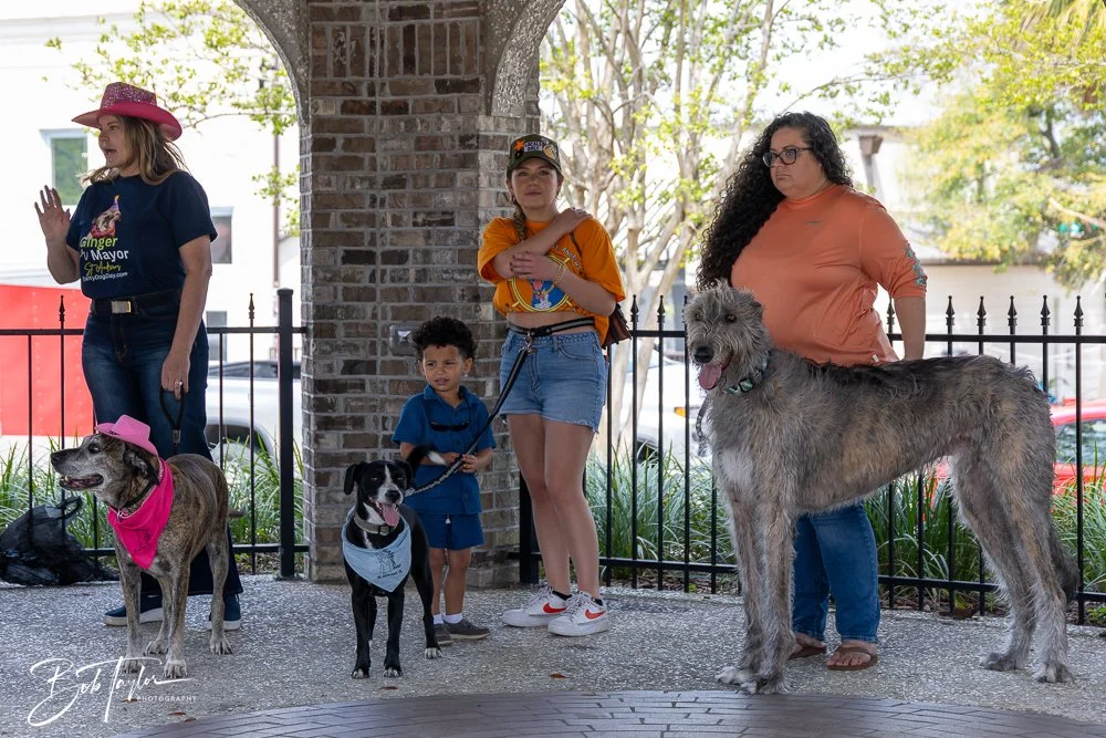 20250329-Salty Dog Day -13.jpg