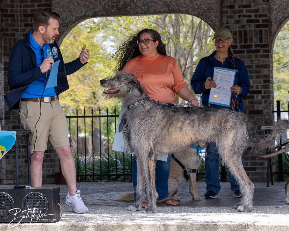 20250329-Salty Dog Day -43.jpg